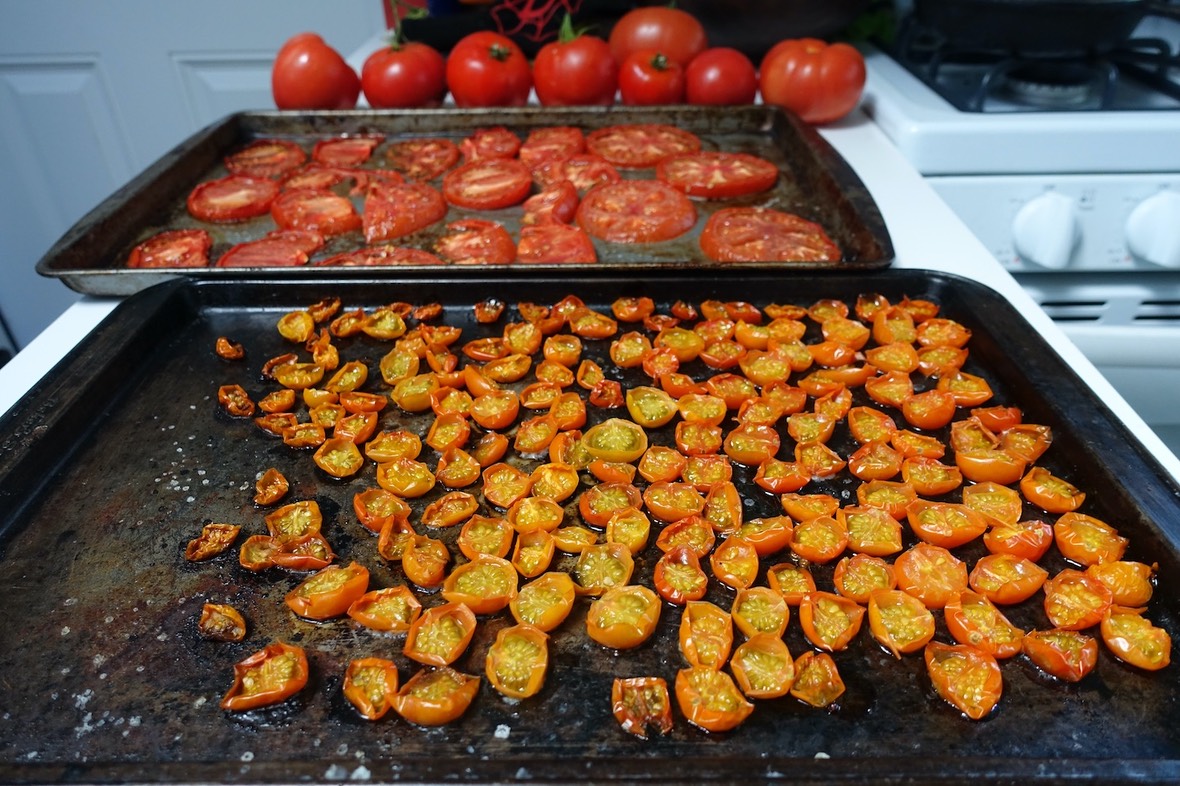 Cooked tomatoes to store -Will Thomas photo