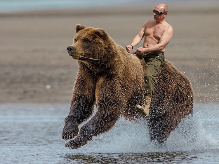 "I've never ridden a bear, but there are such photos," he said.