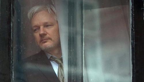 Assange at window