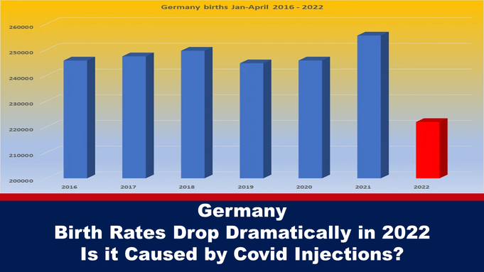 Covid birth rate reduction