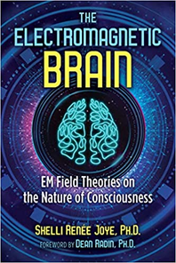 Electromagnetic Brain book